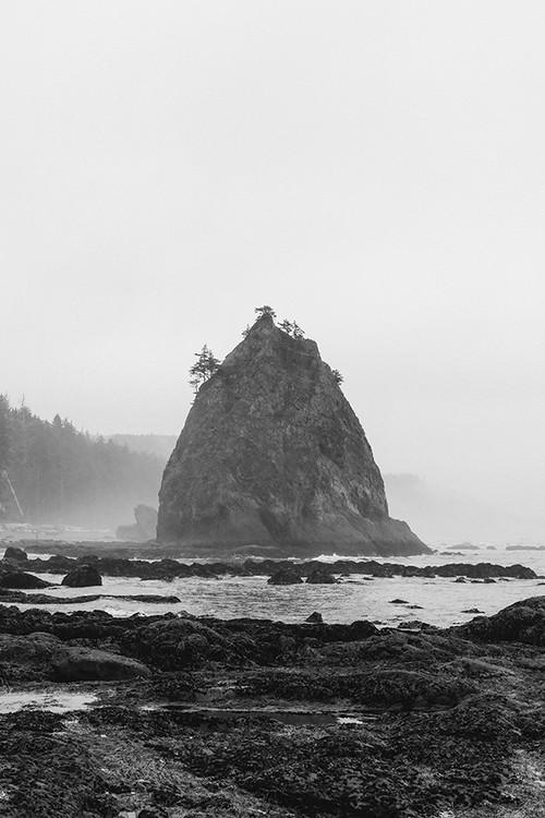 Stacks/La Push, Washington Wonderwall Studio