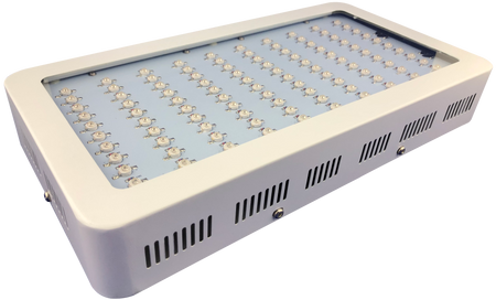 SAATI Pro-Lite 300 Multi- LED Exposure Lamp