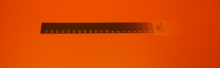 21 Step Exposure Test Guide