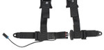 Pro Armor | 4 Point 2" AutoStyle Harness