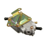 Quantum QFS Polaris Mechanical Fuel Pump Quantum QFS Polaris Mechanical Fuel Pump