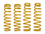 Super ATV 2010-2020 Can-am Commander 6" Lift Kit Replacement Springs