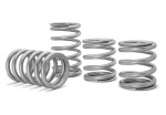 SuperATV Polaris RZR XP Turbo Tender Springs SuperATV Polaris RZR XP Turbo Tender Springs