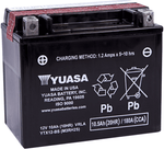 Yuasa YTX12-BS Maintenance Free AGM 12V 10Ah Battery for Polaris RZR 200 - 180 CCA - YTX12-BS