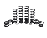 ZBroz | 2024+ Polaris Expedition 5 | Stage 1 Spring Kit - K30-PL1009-0