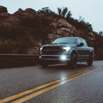 Rigid Industries D Series Pro SAE Fog Light (pair)