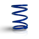 Polaris RZR XP 900 Primary Clutch Spring - Quad Logic