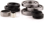 Polaris Ranger 800 Front Differential Bearing & Seal Kit - Quad Logic