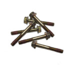 Polaris Ranger Water And Magneto Cover Bolts - Quad Logic