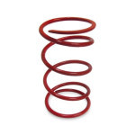 Polaris Ranger 570 Team Secondary Spring - Quad Logic