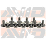 AVID Racing Titanium Body Bolt Hardware Kit Torx Head - 15 Piece