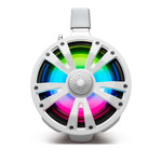 EcoXgear TA8 - 1 Bluetooth Amplified Extreme + 1 Passive Tower Speaker