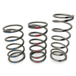 EVO TAPP Primary Clutch Springs