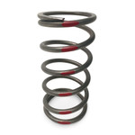 EVO TAPP Primary Clutch Springs