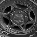 Pro Eagle Wheel Caps