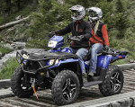 Polaris Front Brushguard
