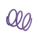 EPI Performance Polaris RZR XP/XP4 1000 | Xpedition XP/ADV Primary Clutch Spring Purple - POLHD2 - EPI