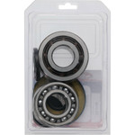 All Balls Racing Can-Am Commander/Defender HD7/Maverick Trail Front Differential Bearing & Seal Kit