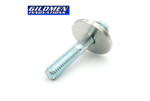 Gilomen Innovations Secondary Clutch Upgrade Bolt & Washer