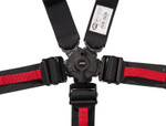 PRP 5.2 Cam-Lock Harness (SFI 16.1)