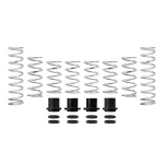 Eibach '18-'26 Textron Wildcat XX Pro-UTV Stage 2 Spring Kit
