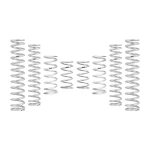 Eibach '25-'26 Can-Am Maverick R Max Pro-UTV Stage 3 Spring Kit