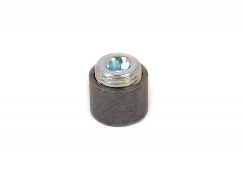 Canton 20-884 Steel Fitting 1/2 Inch NPT Bung With Plug Welding Required (CRP-20-884)