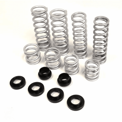 RZR XP 900 Dual Rate Springs Replacement Kit - RTP5301146