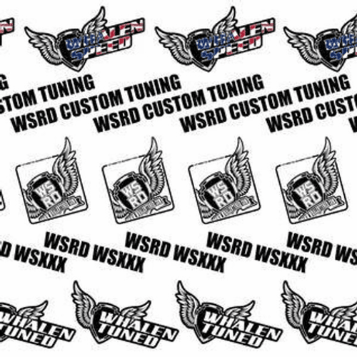 Whalen Speed Polaris RZR Custom Motec Tunes - 500 ID1050X MOTEC STK2 RZR Whalen Speed Polaris RZR Custom Motec Tunes - 500 ID1050X MOTEC STK2 RZR