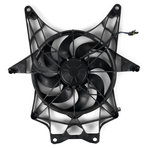 Fan