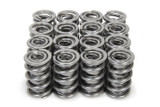 Isky Cams 1.600 Dual Rad Valve Springs 9996Radml