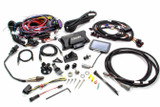 Fast Electronics Engine Control System Ez Efi-2 Multi 30404-Kit