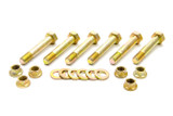 Tilton 2 Disc Bolt Kit  95-005