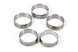 Michigan 77 Cam Bearing Set  Sh-1354S