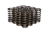 Comp Cams .953 Dia. Inner Valve Springs - .697 Id. 975-16