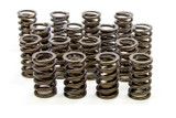 Isky Cams Valve Springs  205D