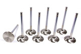 Ferrea Acura C/6 33Mm Intake Valves F6048-8