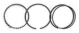 Total Seal Piston Ring Set 4.030 Claimer 1/16 1/16 3/16 Cl3690 30