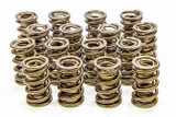 Isky Cams 1.625 Valve Springs  9945Rad
