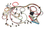 Painless Wiring 98-02 Gm Ls1 Fuel Inj. Wiring Harness 60508