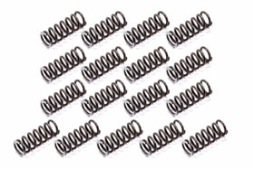 Tsr Racing Products P/G Hd Reverse Springs  Apg-2832Hd