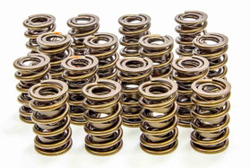 Isky Cams 1.560In Valve Springs  9365Plus