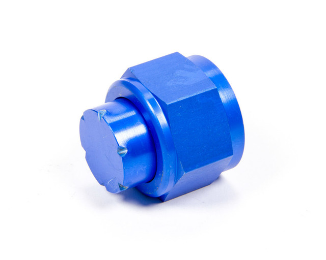 Aeroquip #16 An Cap Aluminum  Fcm3744