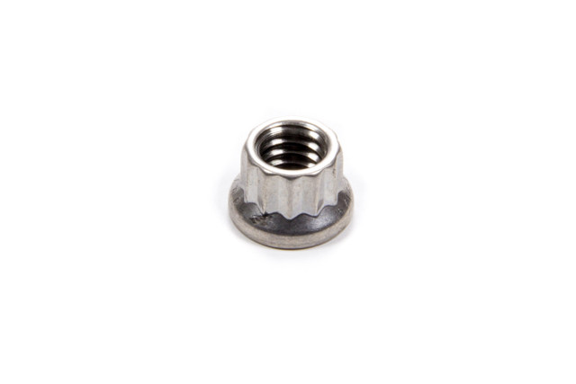 Arp S/S 12Pt. Nut - 5/16-18 (1) 401-8303
