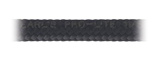 Earls #6 Pro-Lite 350 Hose 10'  351006Erl