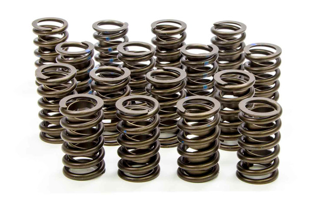 Isky Cams 1.260In Valve Springs  295D