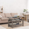 2 Drawer Lift Top Coffee Table with Hidden Compartment & Storage Shelves Gray