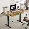 45" Office Electric Standing Desk with 2 Drawers Adjustable Height Desk