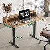 45" 2 Drawers Adjustable Height Desk Office Electric Standing Desk