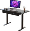 45" Office Electric Standing Desk with 2 Drawers Adjustable Height Desk Black